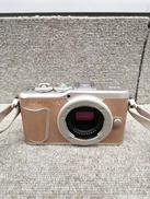 OLYMPUS / PEN E-PL9|OLYMPUS