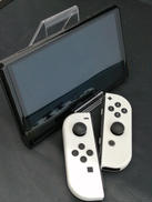 SWITCH 有機EL