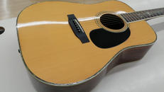 アコースティックギター|MORRIS