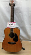 アコースティックギター|MORRIS