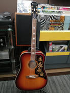 エレアコ|EPIPHONE