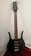 エレキギター|DANELECTRO