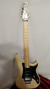 エレキギター|VIGIER