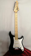 エレキギター|VIGIER