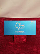 パワーサプライ|STRYMON