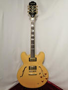 エレキギター|EPIPHONE