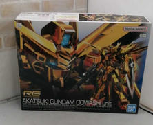 RG　1/144　アカツキガンダム(オオワシ装備)|BANDAI