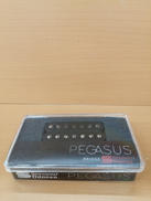 ピックアップ|SEYMOUR DUNCAN