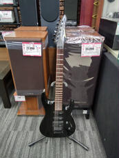 エレキギター|ARIAPRO2