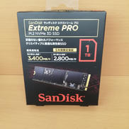 M.2 SSD(1TB)|SANDISK