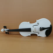 バイオリン|Hallstatt