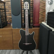 エレガットギター|IBANEZ