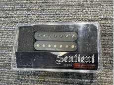 パーツ|SEYMOUR DUNCAN