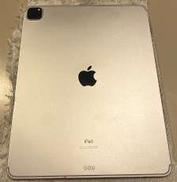 iPad|APPLE / DOCOMO