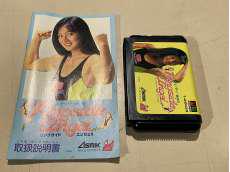 レトロゲーム本体|ASMIK