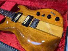 その他ボディタイプ|ARIA PRO II