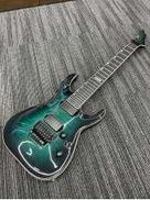 その他ボディタイプ|ESP