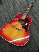 アコースティック|ARIA