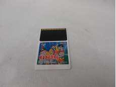 レトロゲームソフト|HUDSON