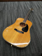 アコースティックギター|YAMAKI