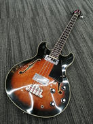 セミアコエレキベース|ARIA PROⅡ