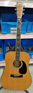 アコースティックギター|MORRIS