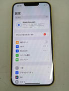 コンパクトなサイズのiPhone|APPLE