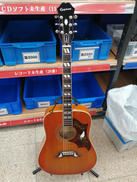 エレアコ|EPIPHONE
