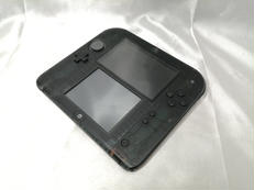 2DS