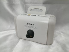 ワイヤレスイヤホン|SONY