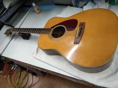 アコースティックギター|YAMAHA