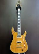 エレキギター|ESP CUSTOM GUITARS