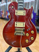 エレキギター|ARIA PROⅡ