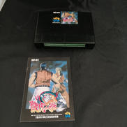 [NEO GEOソフト]|SKE