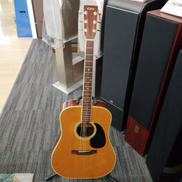 アコースティックギター/TW-60|ELITE