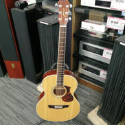 エレアコ/J-500ANAT|JAMES