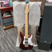 エレキギター/SD-2-24-AL|SCHECTER