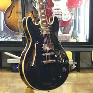 エレキギター|ARIA PROⅡ