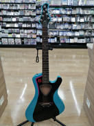 アコースティックギター|GRASSROOTS