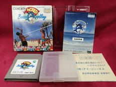 ワールドビーチバレー1991|アイ・ジー・エス