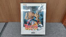 NEO・GEOソフト|SNK