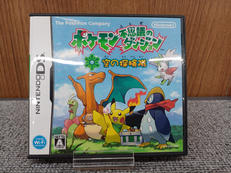 DS ソフト|NINTENDO