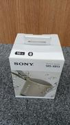 アンプ内蔵スピーカー|SONY