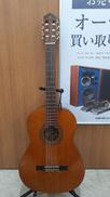 クラシックギター|YAMAHA