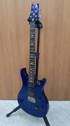 エレキギター|PRS