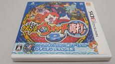 3DSソフト|LEVEL 5