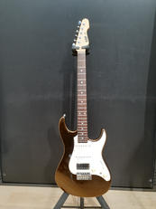 その他ボディタイプ|ESP