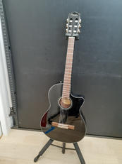 エレガットギター|FENDER