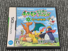 DSソフト|NINTENDO / 任天堂