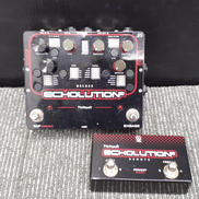 ECHOLUTION 2 DELUXE + REMOTE|PIGTRONIX